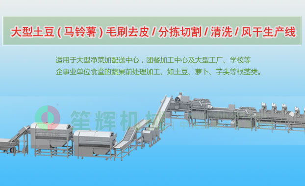 成华连续式土豆去皮清洗切割风干生产线